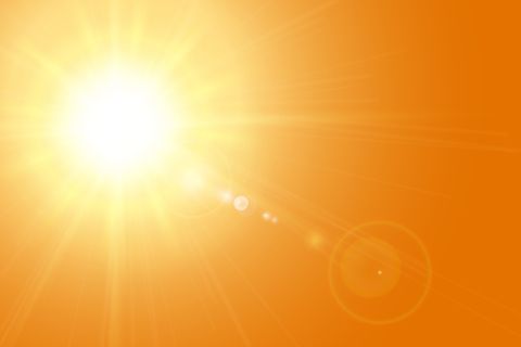 Freepik_canicule